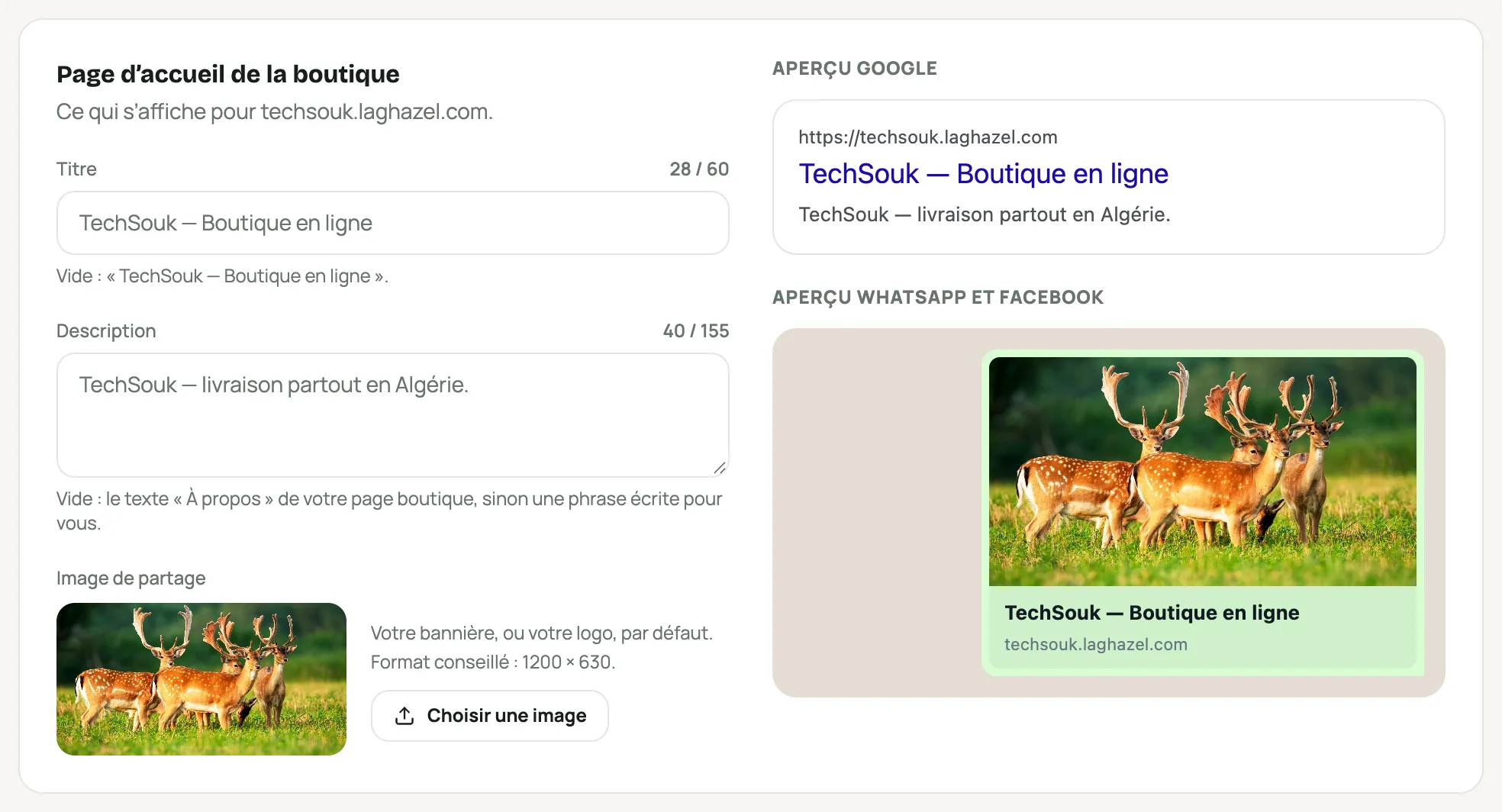 Le titre, la description et l’image de partage, avec les aperçus Google et WhatsApp
